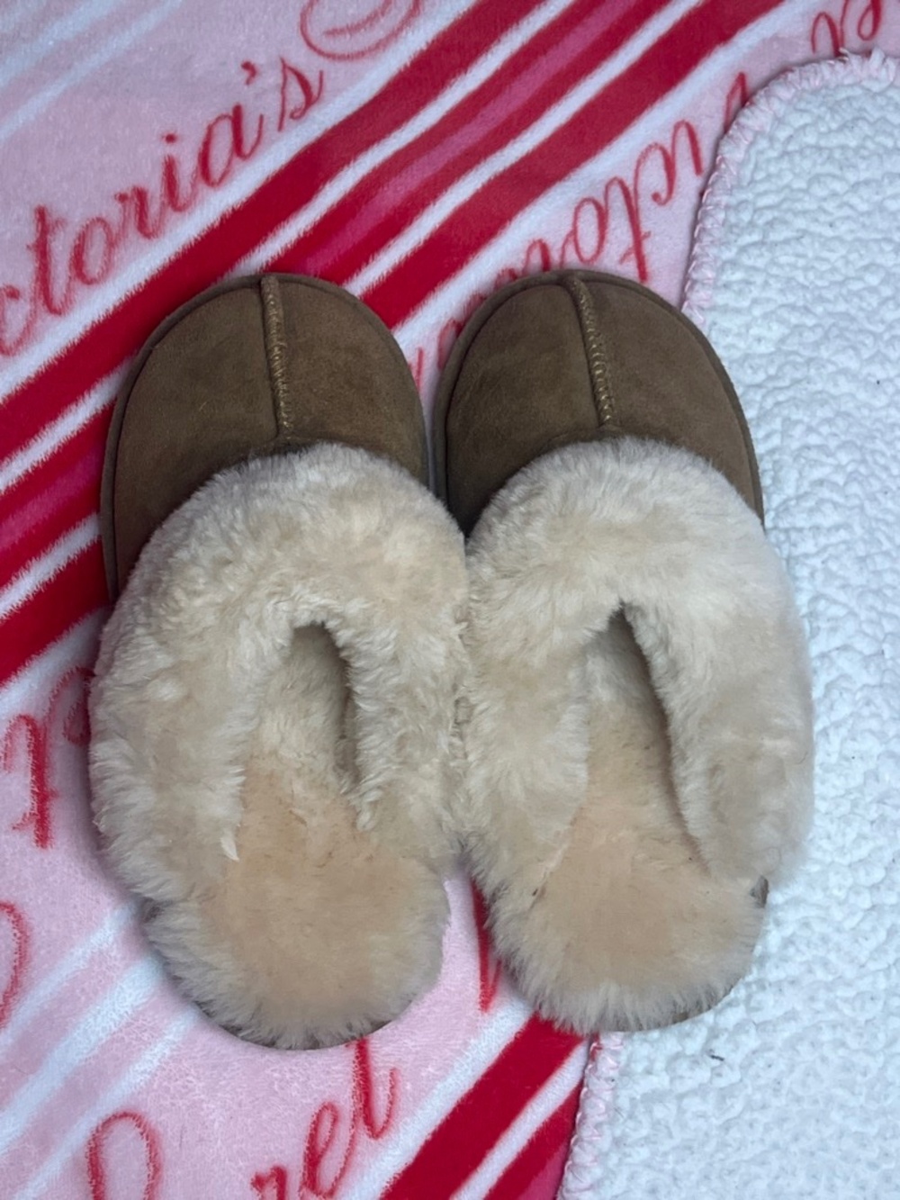 BearPaw Slippers - Picture 3 of 4